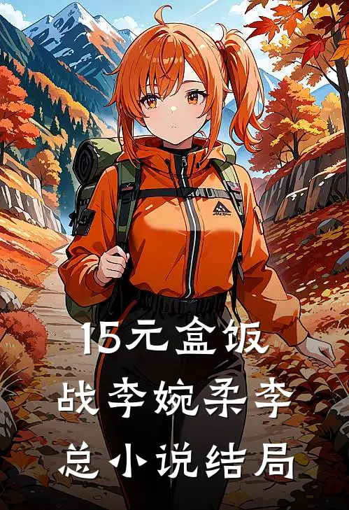 15元盒饭战李婉柔李总小说结局