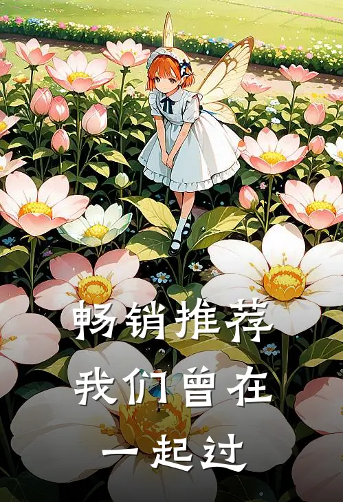 畅销推荐我们曾在一起过