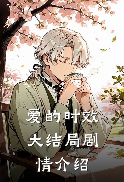 爱的时效大结局剧情介绍