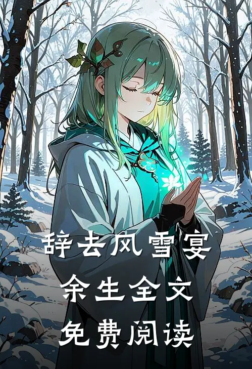 辞去风雪宴余生全文免费阅读