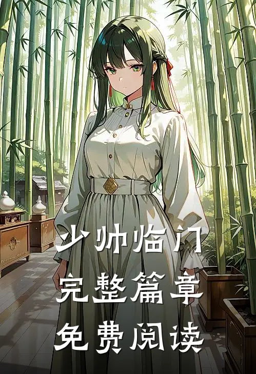 少帅临门完整篇章免费阅读