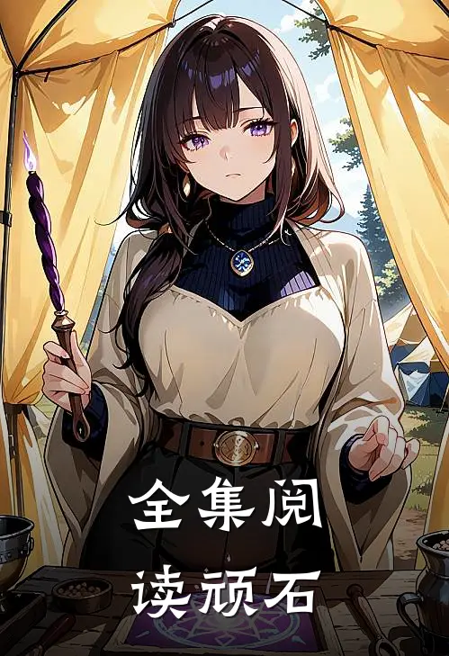 全集阅读顽石