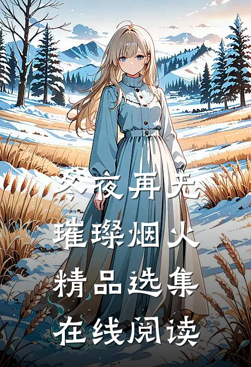 冬夜再无璀璨烟火精品选集在线阅读