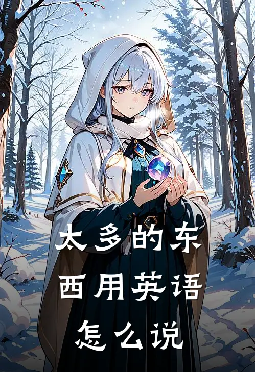 太多的东西用英语怎么说