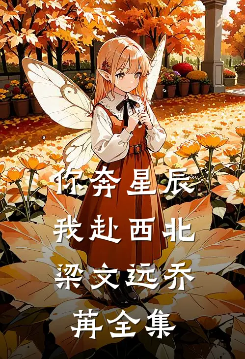 你奔星辰，我赴西北梁文远乔苒全集