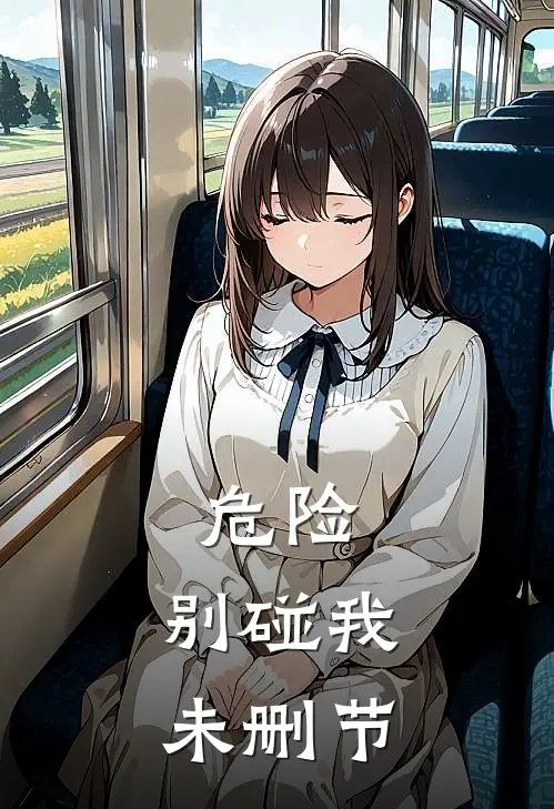 危险，别碰我未删节