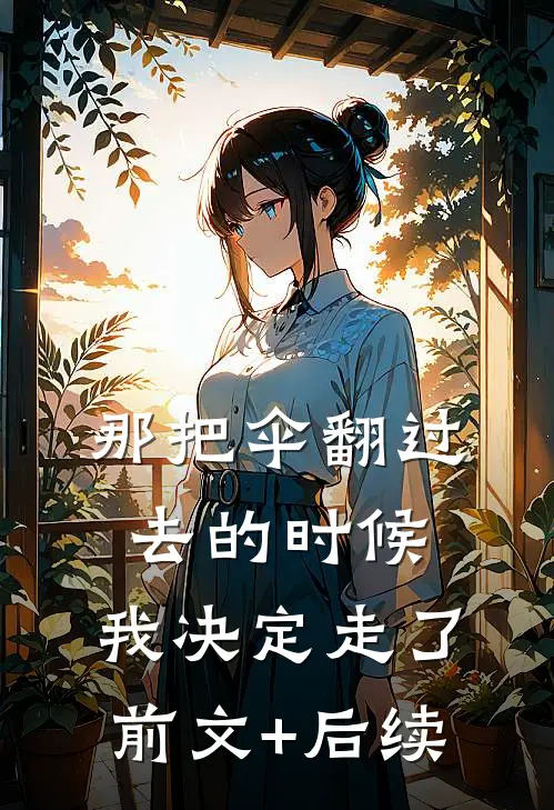那把伞翻过去的时候，我决定走了前文+后续
