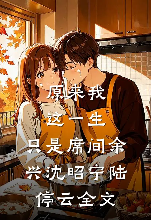 原来我这一生，只是席间余兴沈昭宁陆停云全文