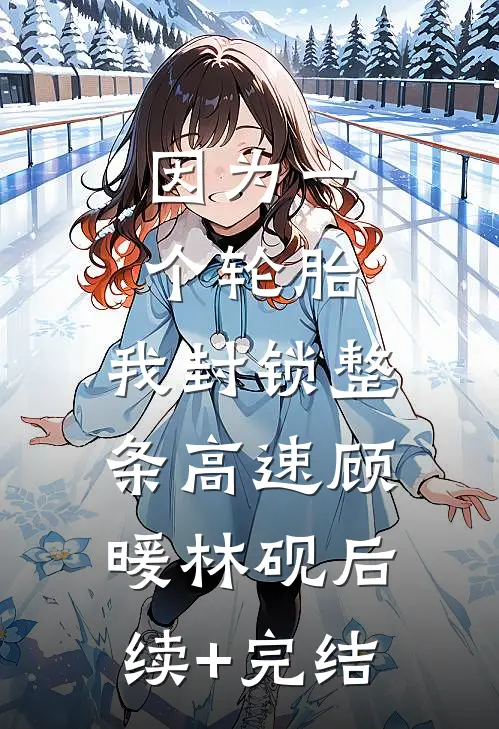 因为一个轮胎，我封锁整条高速顾暖林砚后续+完结