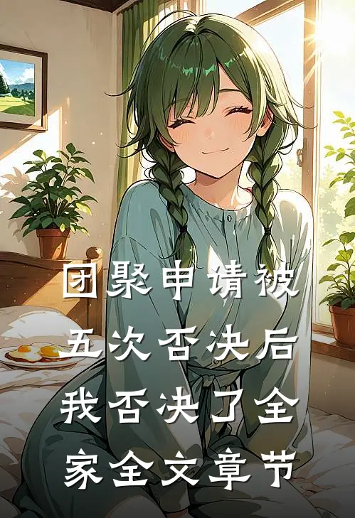 团聚申请被五次否决后，我否决了全家全文章节