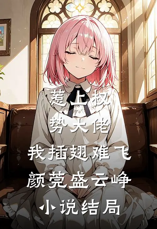 惹上权势大佬，我插翅难飞颜莞盛云峥小说结局
