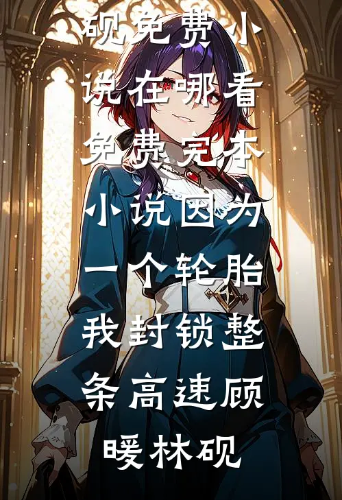 因为一个轮胎，我封锁整条高速(顾暖林砚)免费小说在哪看_免费完本小说因为一个轮胎，我封锁整条高速(顾暖林砚)