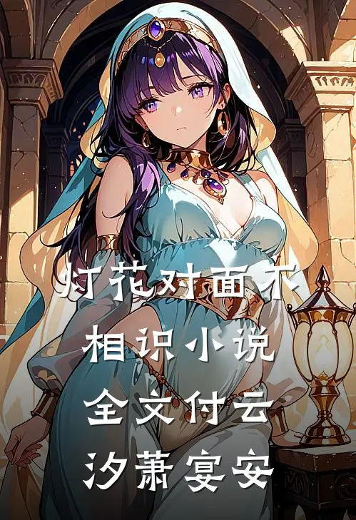 灯花对面不相识小说全文付云汐萧宴安
