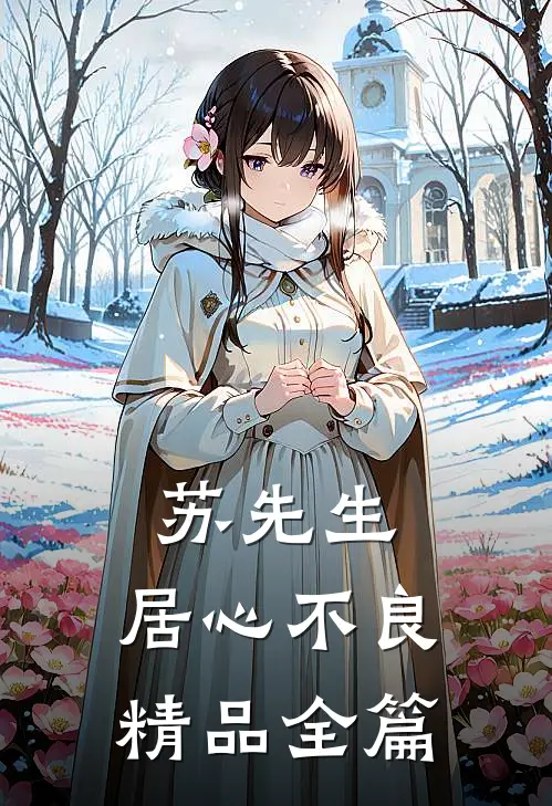 苏先生，居心不良精品全篇