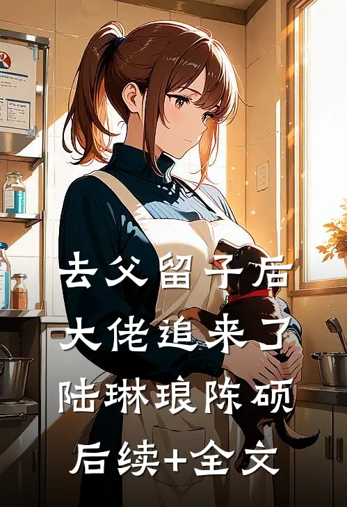 去父留子后，大佬追来了陆琳琅陈硕后续+全文