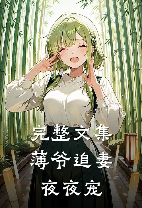 完整文集薄爷追妻夜夜宠