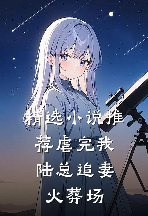 精选小说推荐虐完我，陆总追妻火葬场