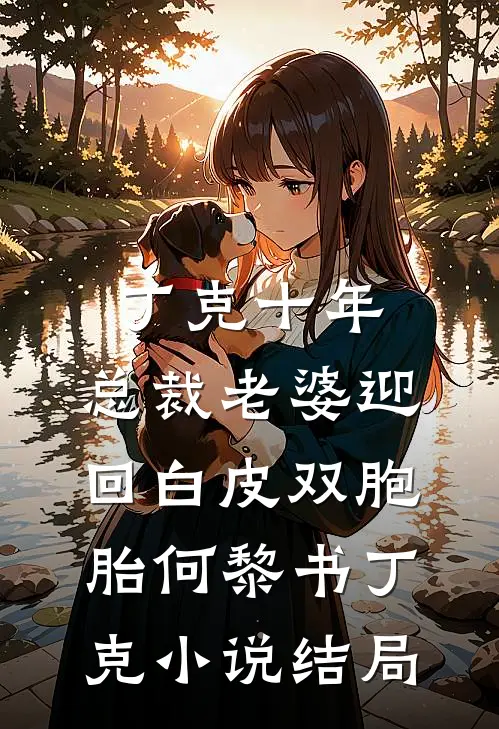 丁克十年，总裁老婆迎回白皮双胞胎何黎书丁克小说结局