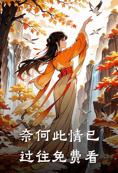 奈何此情已过往免费看