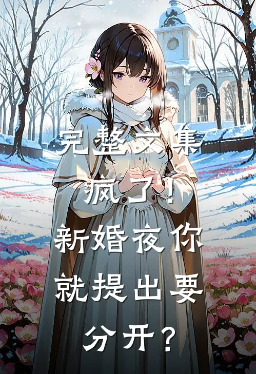 完整文集疯了！新婚夜你就提出要分开？