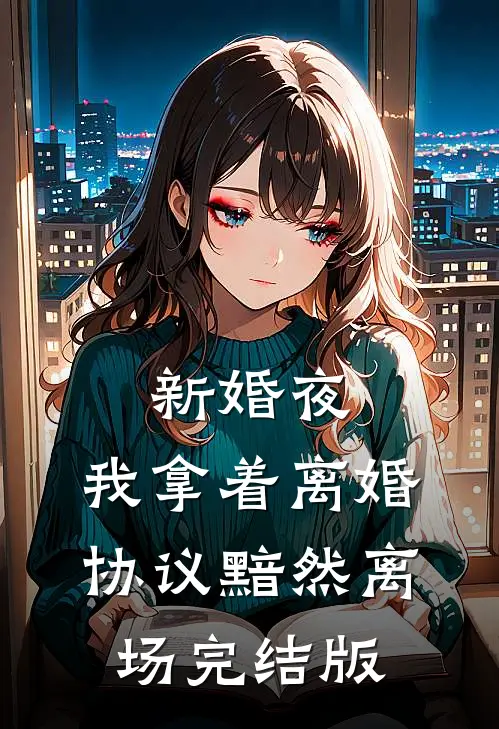 新婚夜，我拿着离婚协议黯然离场完结版