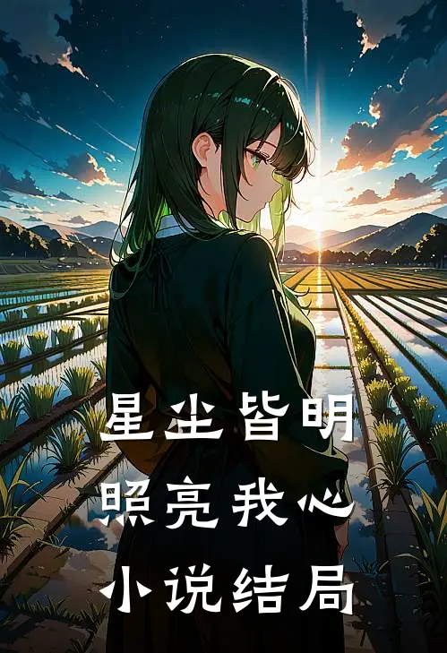 星尘皆明,照亮我心结局是