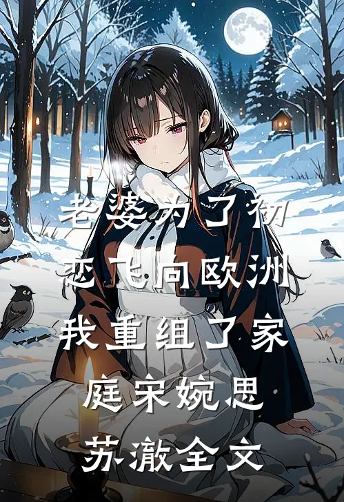 老婆为了初恋飞向欧洲，我重组了家庭宋婉思苏澈全文