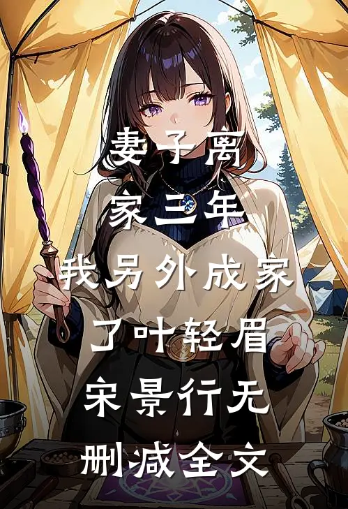 妻子离家三年，我另外成家了叶轻眉宋景行无删减全文