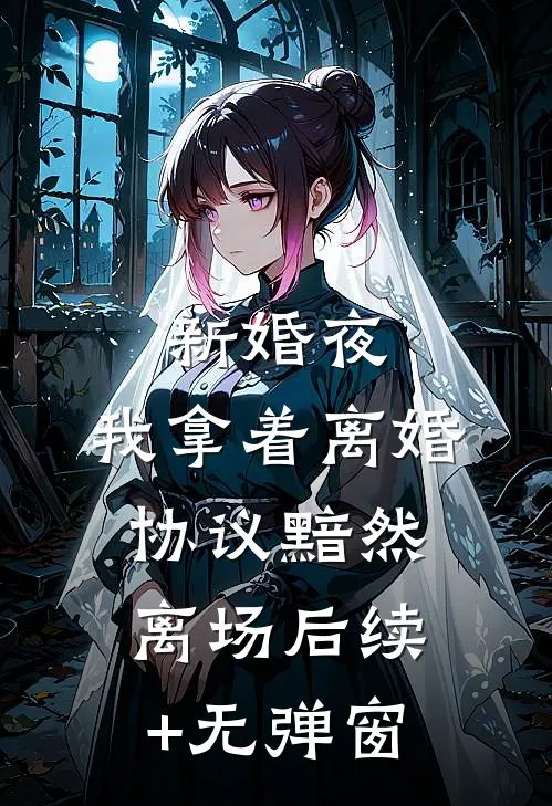 新婚夜，我拿着离婚协议黯然离场后续+无弹窗