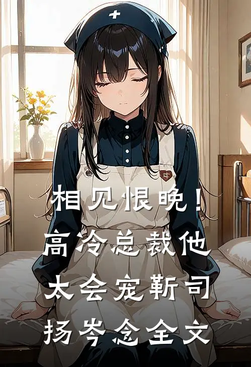 相见恨晚！高冷总裁他太会宠靳司扬岑念全文