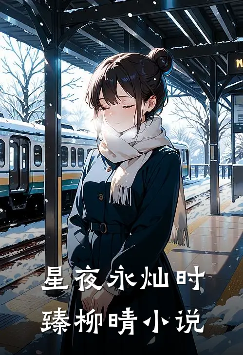 星夜永灿时臻柳晴小说