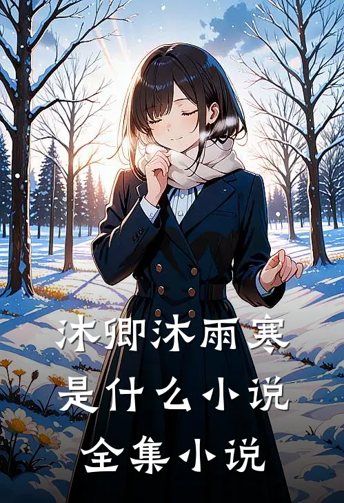 沐卿沐雨寒是什么小说全集小说