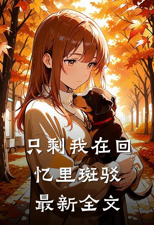 只剩我在回忆里斑驳最新全文