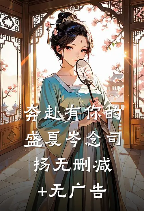 奔赴有你的盛夏岑念司扬无删减+无广告