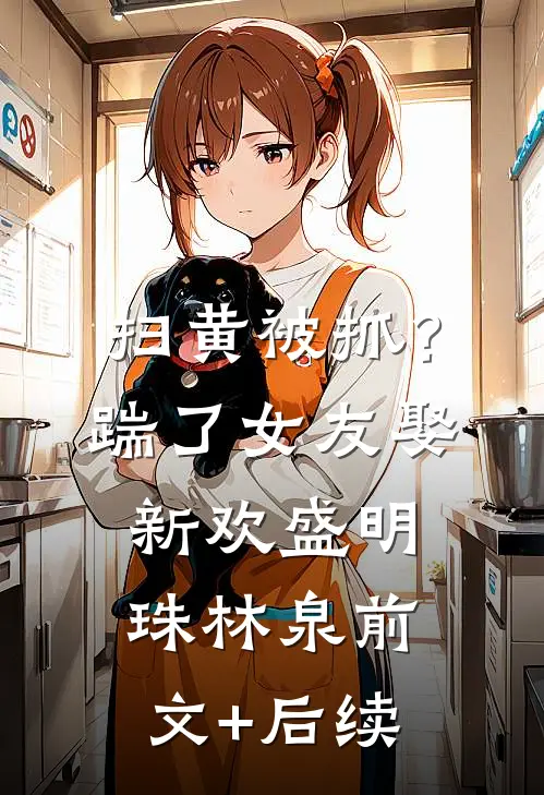 扫黄被抓？踹了女友娶新欢盛明珠林泉前文+后续