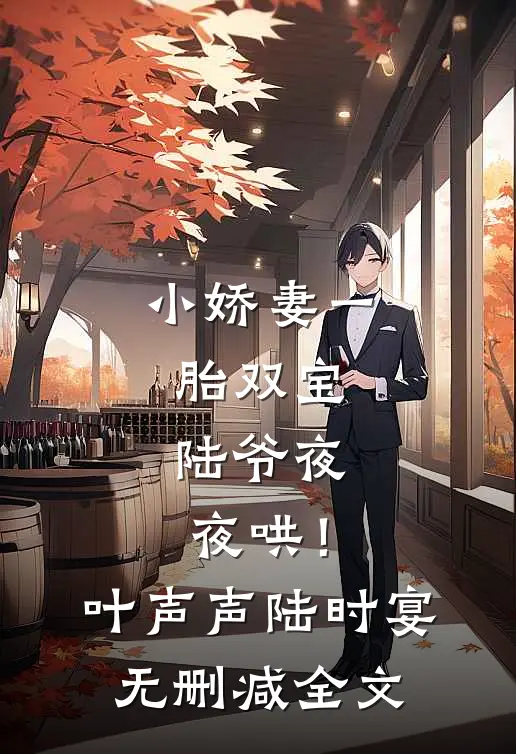 小娇妻一胎双宝，陆爷夜夜哄！叶声声陆时宴无删减全文