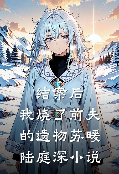 结案后，我烧了前夫的遗物苏暖陆庭深小说