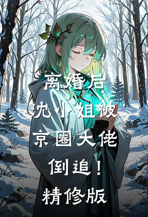 离婚后，沈小姐被京圈大佬倒追！精修版