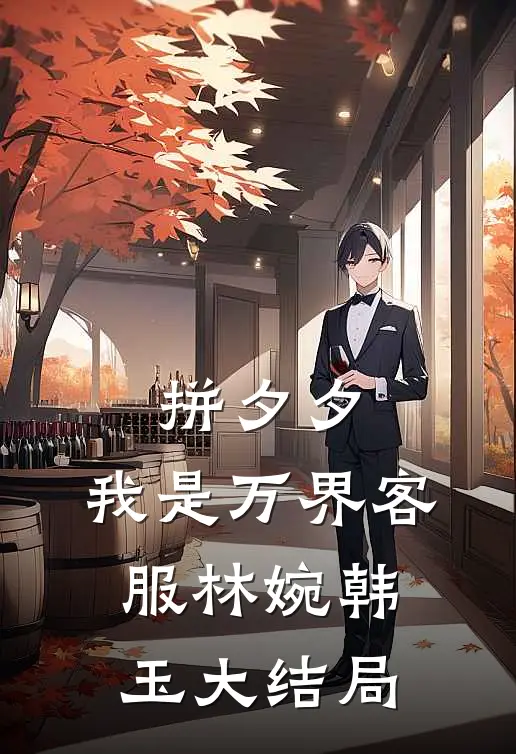 拼夕夕，我是万界客服林婉韩玉大结局