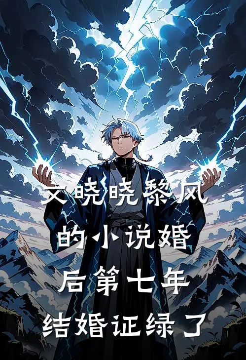 文晓晓黎风的小说婚后第七年，结婚证绿了