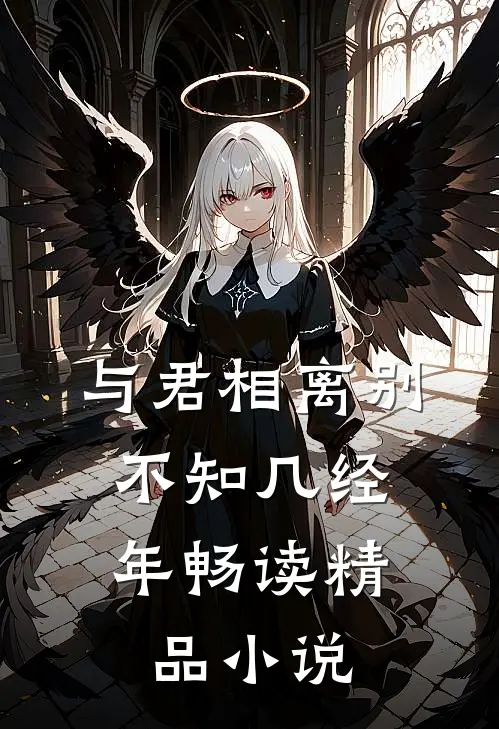 与君相离别，不知几经年畅读精品小说