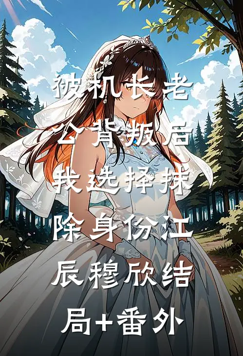 被机长老公背叛后，我选择抹除身份江辰穆欣结局+番外
