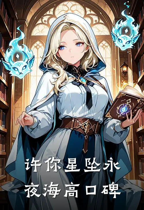 许你星坠永夜海高口碑