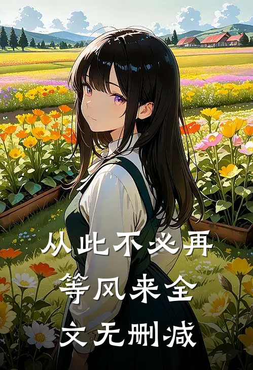 从此不必再等风来全文无删减