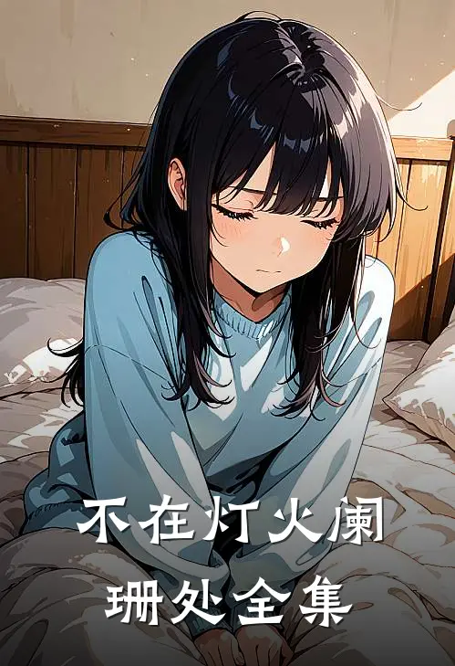 不在灯火阑珊处 全集