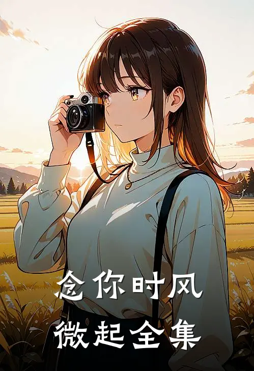 念你时风微起全集