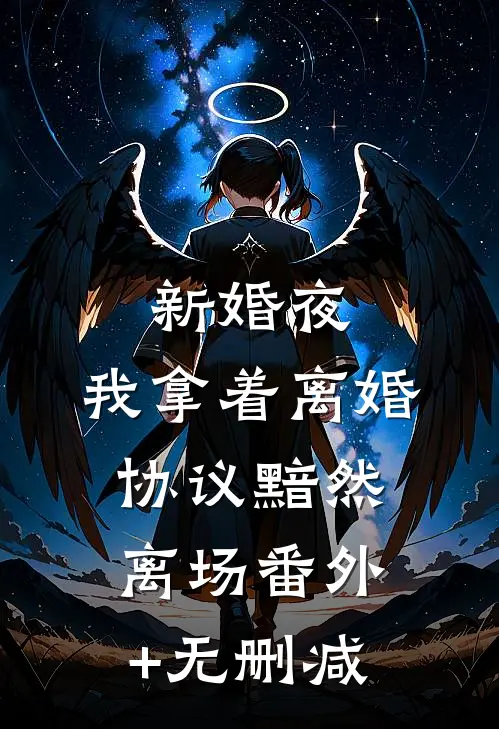 新婚夜，我拿着离婚协议黯然离场番外+无删减