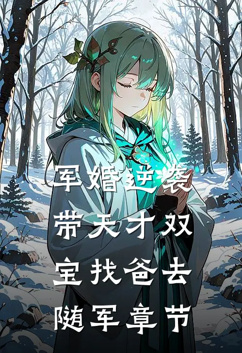 军婚逆袭：带天才双宝找爸去随军章节