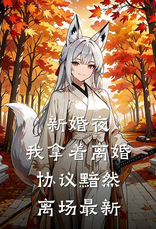 新婚夜，我拿着离婚协议黯然离场最新