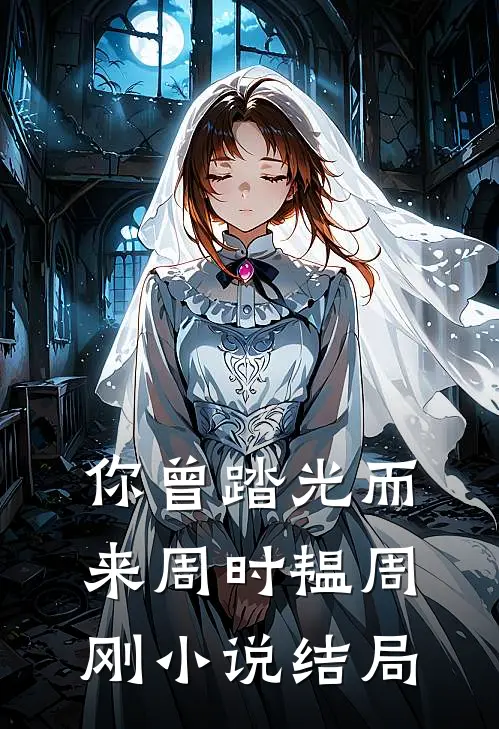 你曾踏光而来周时韫周刚小说结局